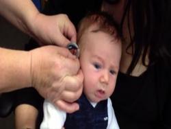 天生聽障的寶寶戴上助聽器　第一次聽到聲音他的反應讓千萬網友感動