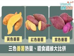 黃色番薯、紅薯、紫薯大比併　哪款熱量最低？哪款膳食纖維最多？