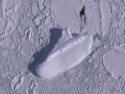 古代文明遺跡？　GoogleEarth上發現「神秘南極冰船」　謎團重重引網友猜測：應該是「方舟」吧