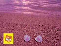 世界上最浪漫的《粉紅沙灘》連男人都覺得超夢幻的天堂就在這！(有視頻）