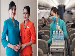 客人投訴看不到笑容！　航空公司妥協：將請空服人員「摘除口罩」