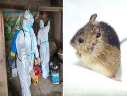 又傳疫情？中國爆「人畜共通鼠疫」預警已三級　WHO發布認證：中國特有病毒