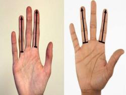 科學家發現，看男生的手指長度可以知道「他是怎樣的人」！
