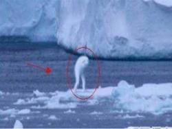 震驚！南極洲拍攝到30公尺高的巨型人類！未解之謎終于曝光了！太不可思議了~